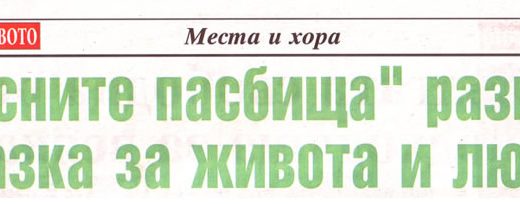 Небесните пасбища разказват приказка за живота и любовта